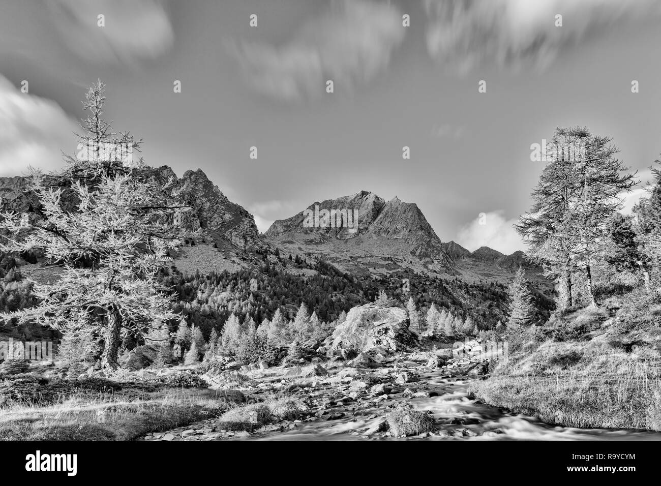 Paesaggio delle Alpi, Val Masino, Italia Foto Stock