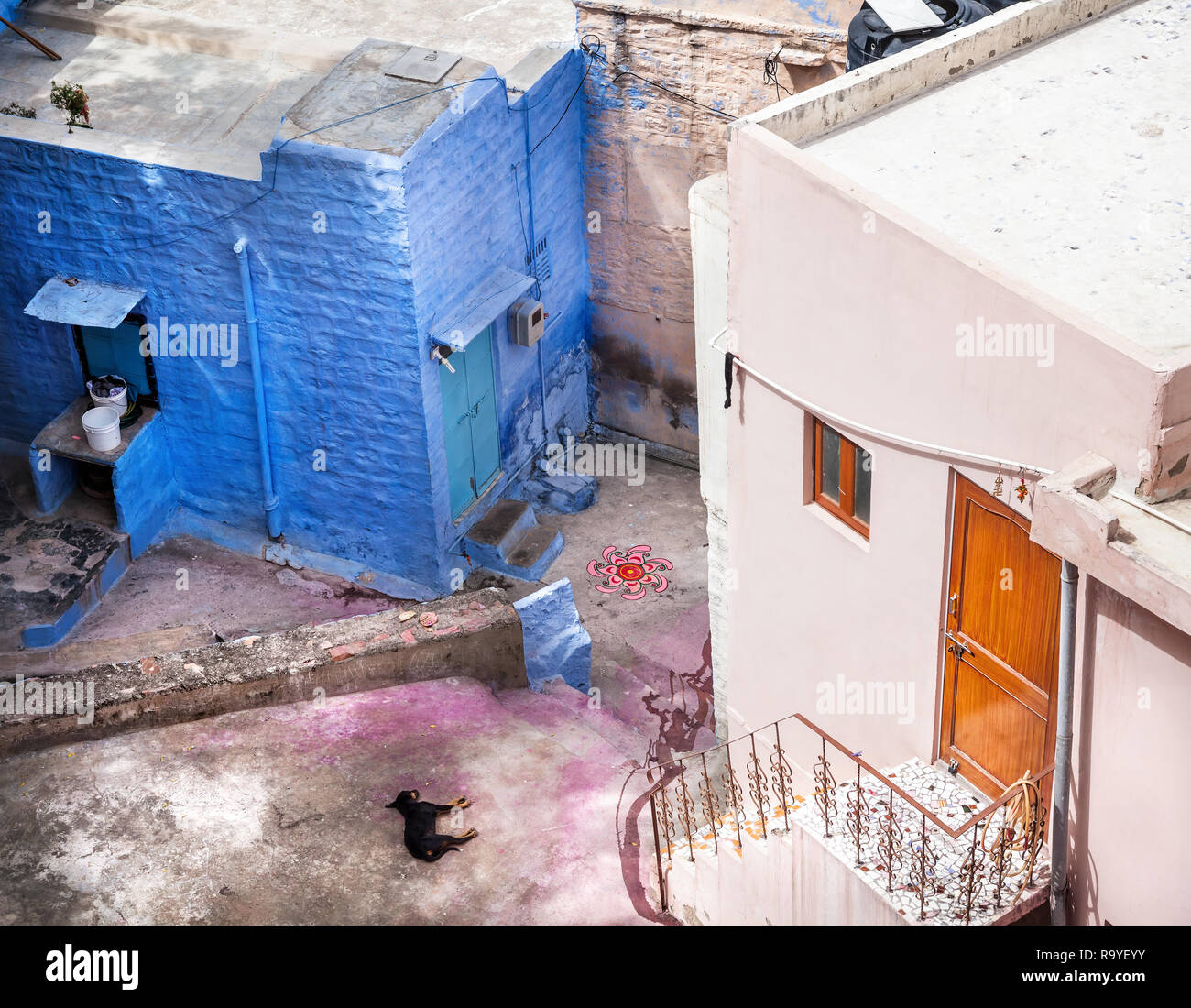 Il cane dorme sul Jodhpur street dopo Holi celebrazione nella città blu del Rajasthan, India Foto Stock