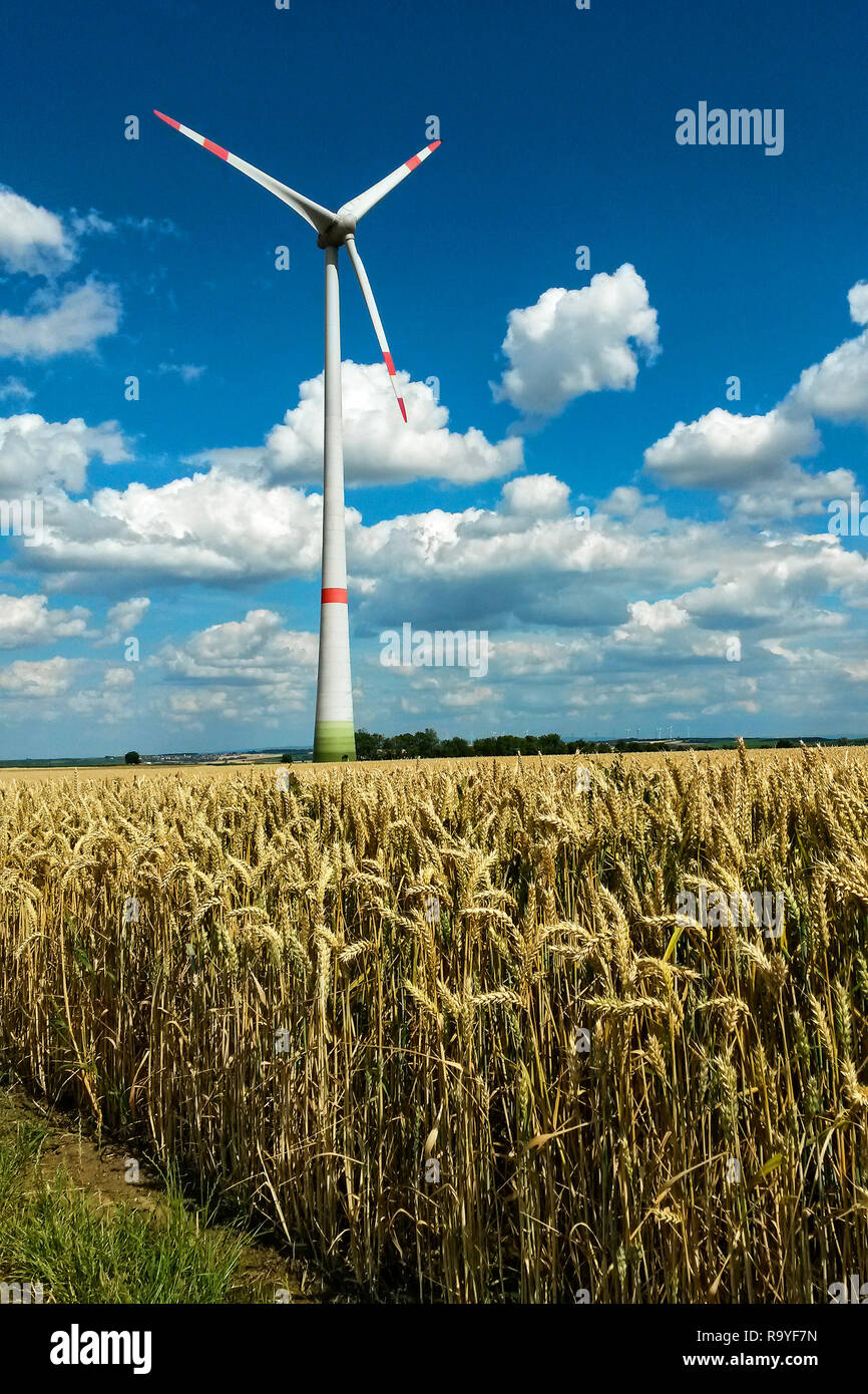 Turbina eolica in terreni agricoli sotto il cielo azzurro intenso con cumulus la formazione di nube, Hesse, Germania Foto Stock