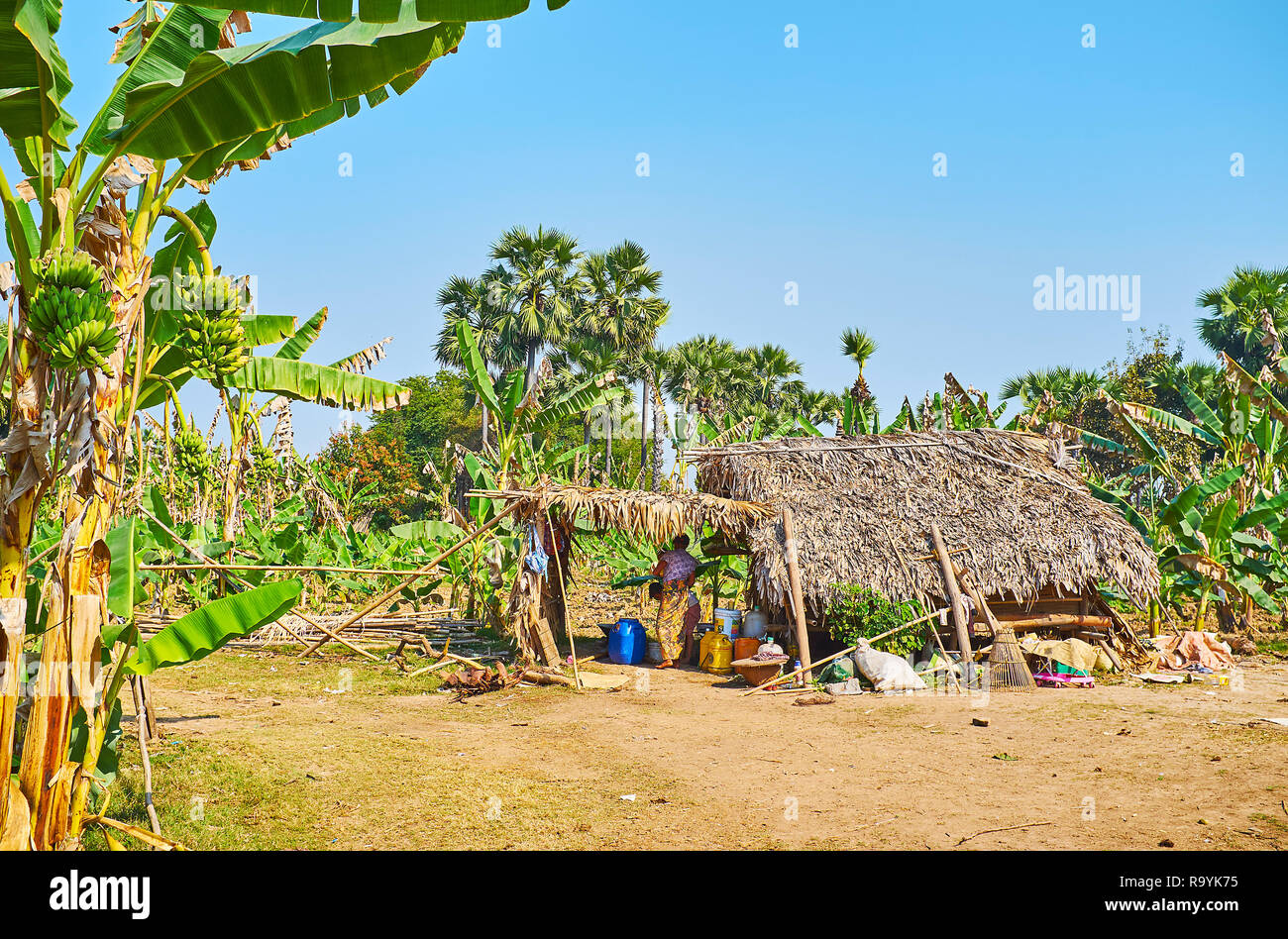 AVA, MYANMAR - 21 febbraio 2018: Il vecchio contadino di shanty tra il verde delle palme in banana farm, il 21 febbraio in Ava. Foto Stock