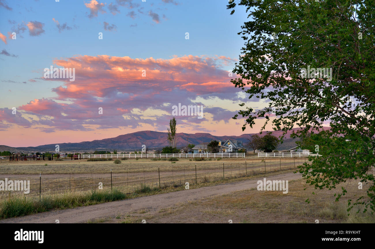 Piatta campagna i campi con le montagne sullo sfondo, Coyote molle, Prescott Valley, Arizona, Stati Uniti d'America Foto Stock