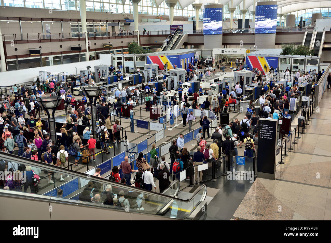 Screening di sicurezza con linee di attesa i passeggeri all'Aeroporto Internazionale di Denver (DEN), Colorado, STATI UNITI D'AMERICA Foto Stock