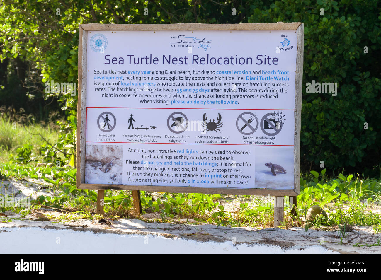 Un segno per il sea Turtle Nest reinsediamento a Diani Beach con informazioni sulle tartarughe, Diani, Kenya Foto Stock