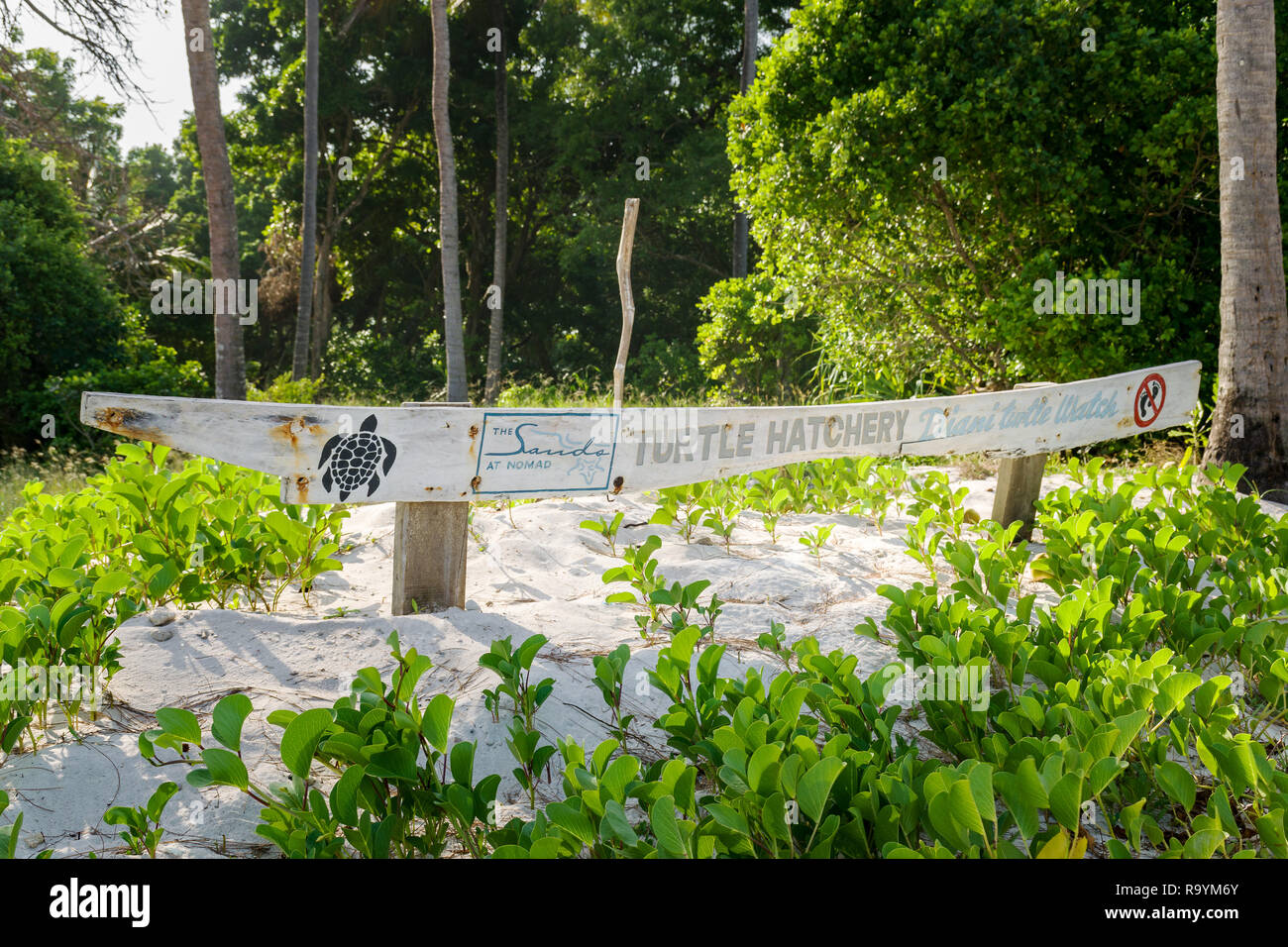 Un segno per il Turtle Hatchery presso la spiaggia di Diani con informazioni sulle tartarughe, Diani, Kenya Foto Stock
