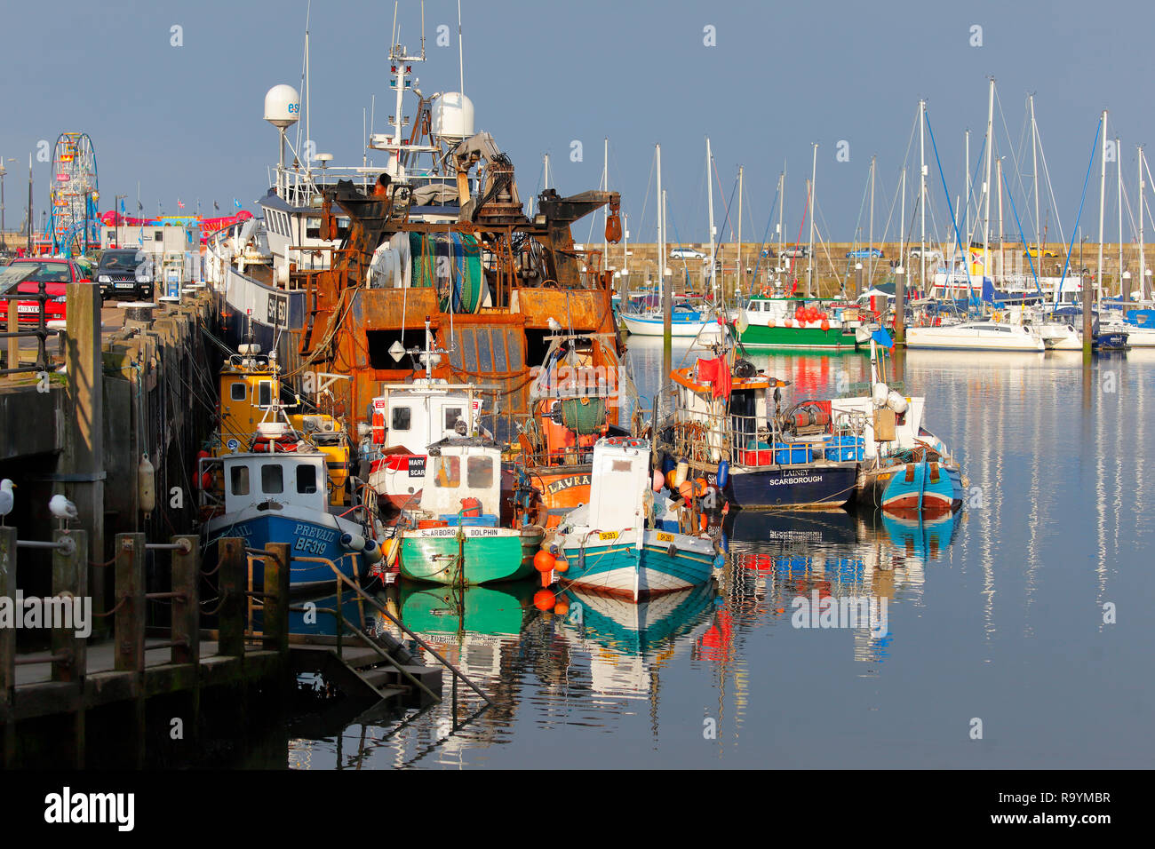Una flotta di vari tipi di barche da pesca ormeggiate in porto a Scarborough in North Yorkshire. Foto Stock