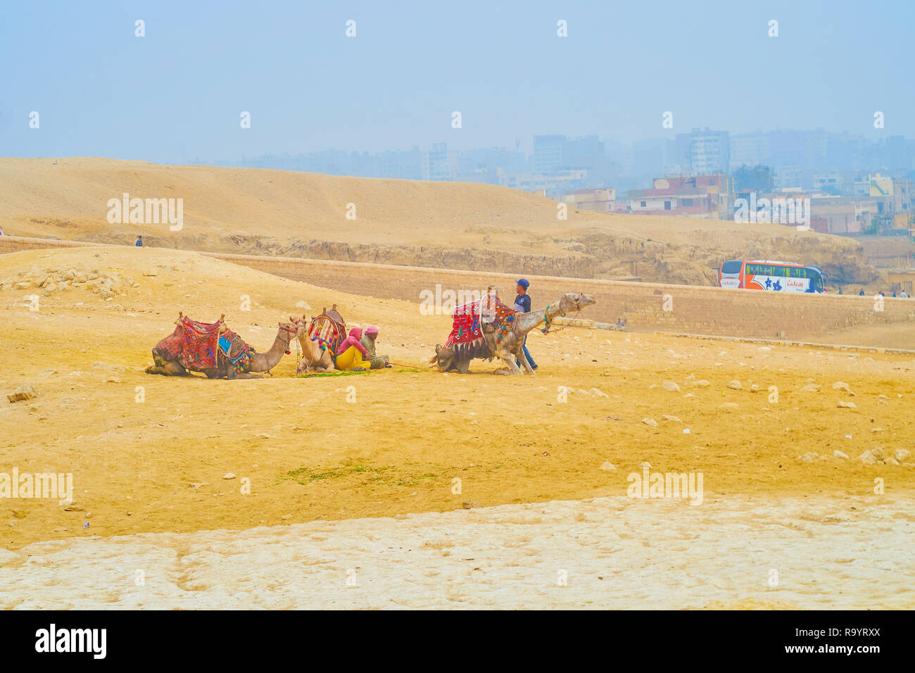 GIZA, Egitto - 20 dicembre 2017: il piccolo gruppo di cameleers con animali sedersi sulla sabbia nel sito archeologico di Giza in Egitto il 20 dicembre in gi Foto Stock