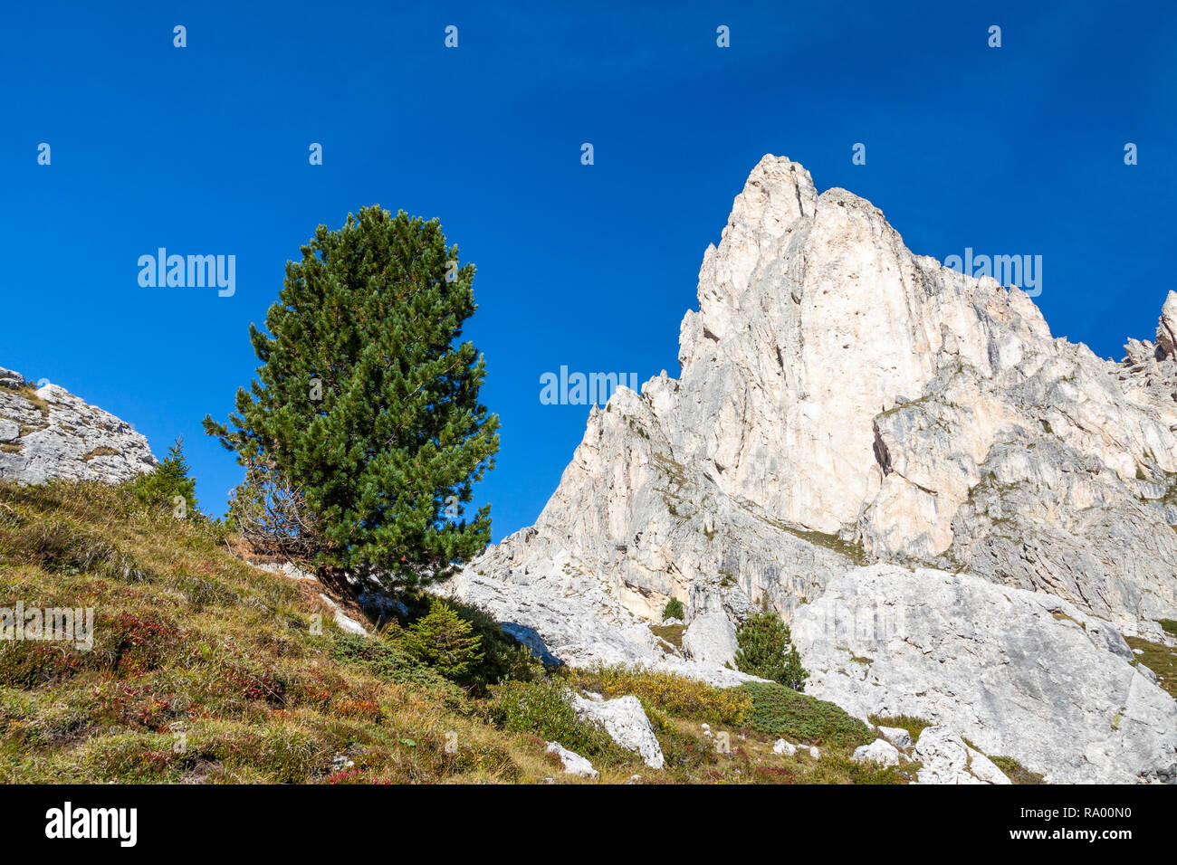 Escursioni intorno a Cinque Torri nelle Dolomiti del Nord Italia, Europa Foto Stock