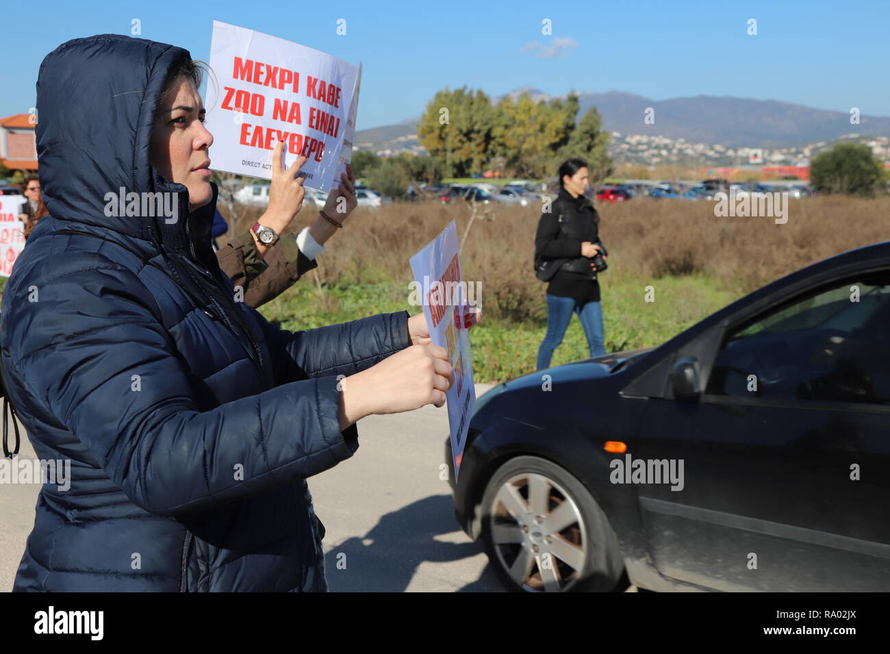 Spata, Grecia. 29 Dic, 2018. Attivisti per i diritti degli animali dimostrano di fronte all'Attica Zoological Park in pretesto oltre la sua recente uccisione di 2, giaguari, e a sostegno dei diritti degli animali in generale. Credito: George Panagakis/Pacific Press/Alamy Live News Foto Stock