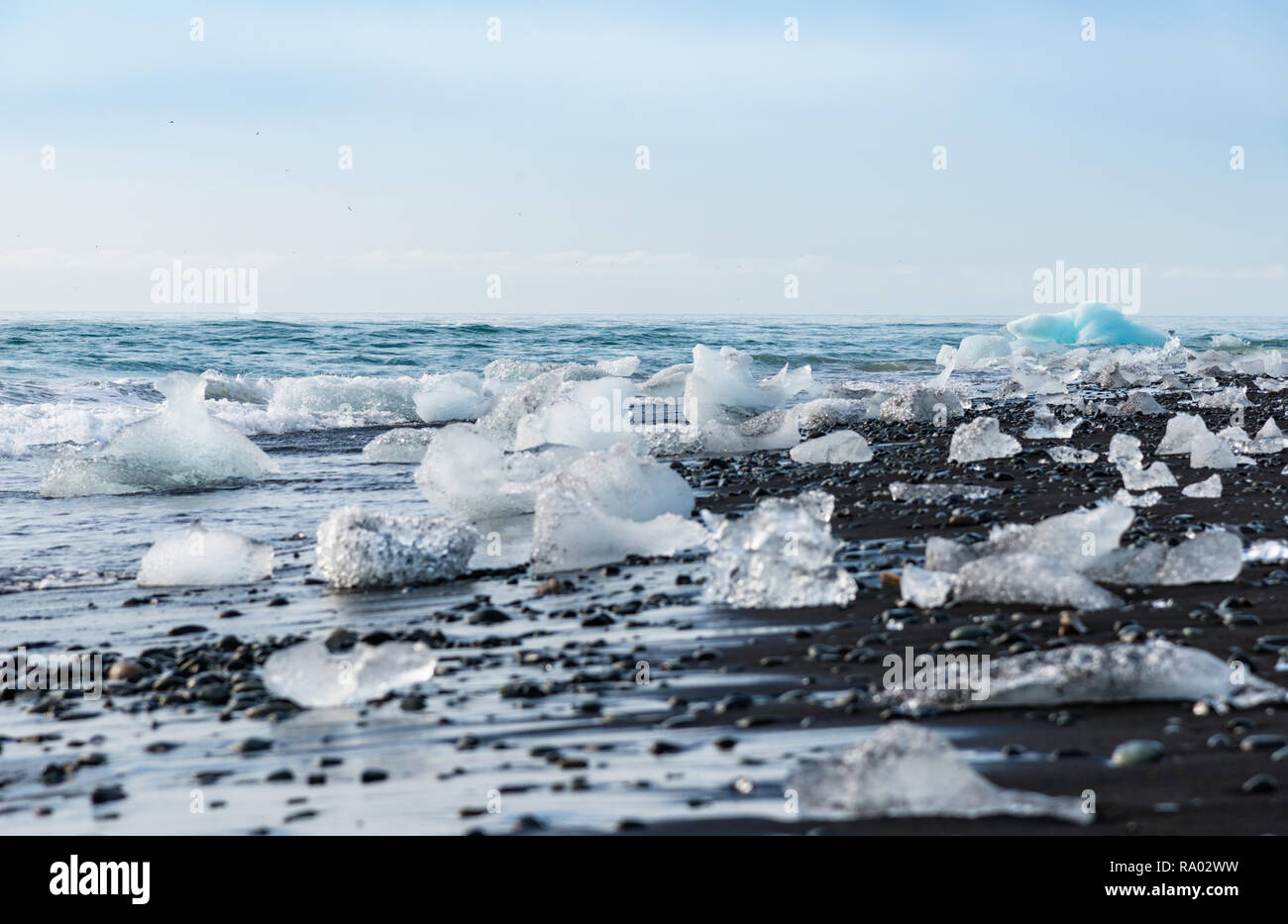 Islanda costa, pezzi di ghiaccio sulla spiaggia di sabbia nera Foto Stock