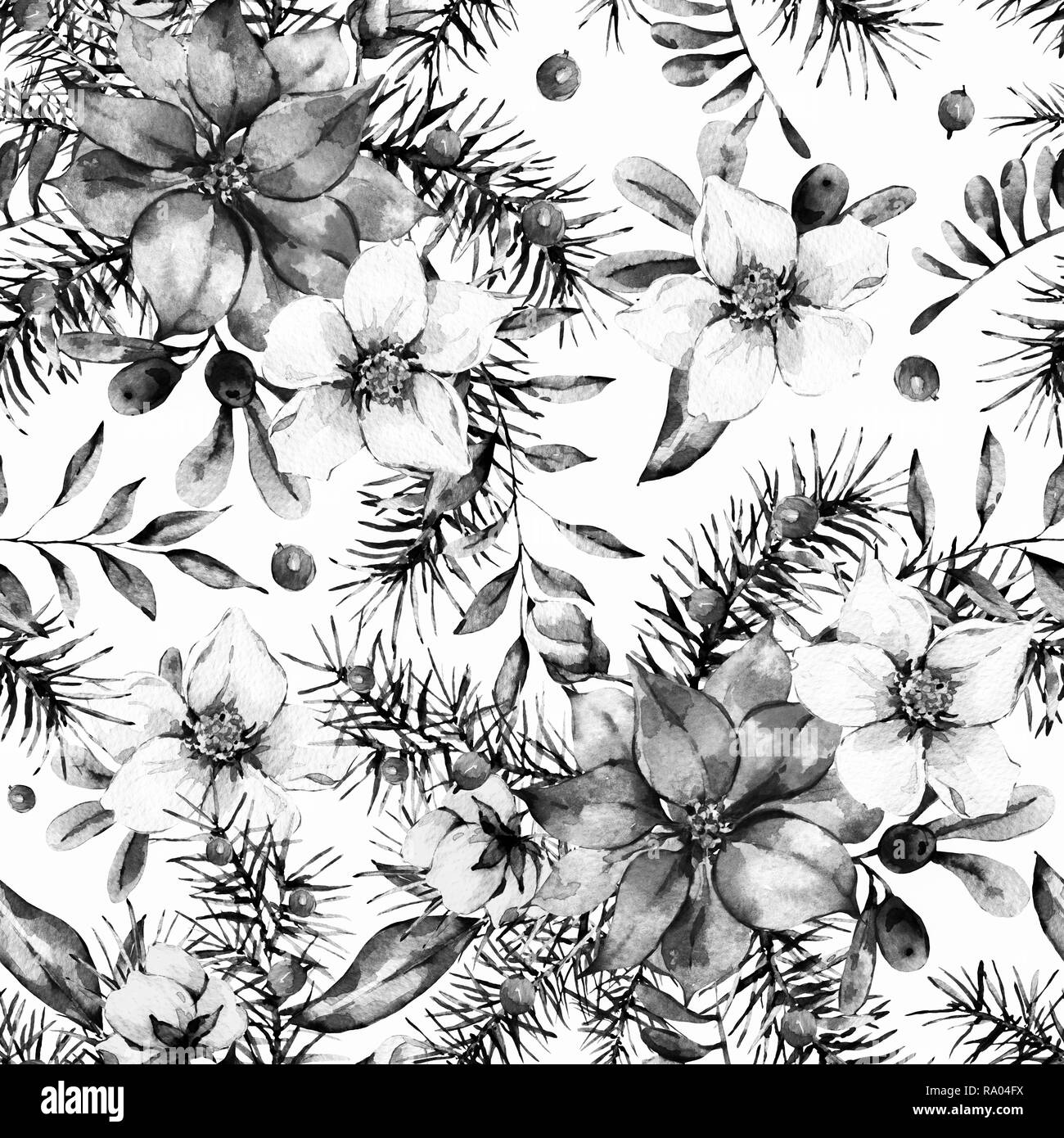 Acquerello monocromo floreale vintage seamless pattern, anno nuovo decoro con poinsettia, rami di pino e bacche rosse, fiori. Botaniche mal naturale Foto Stock