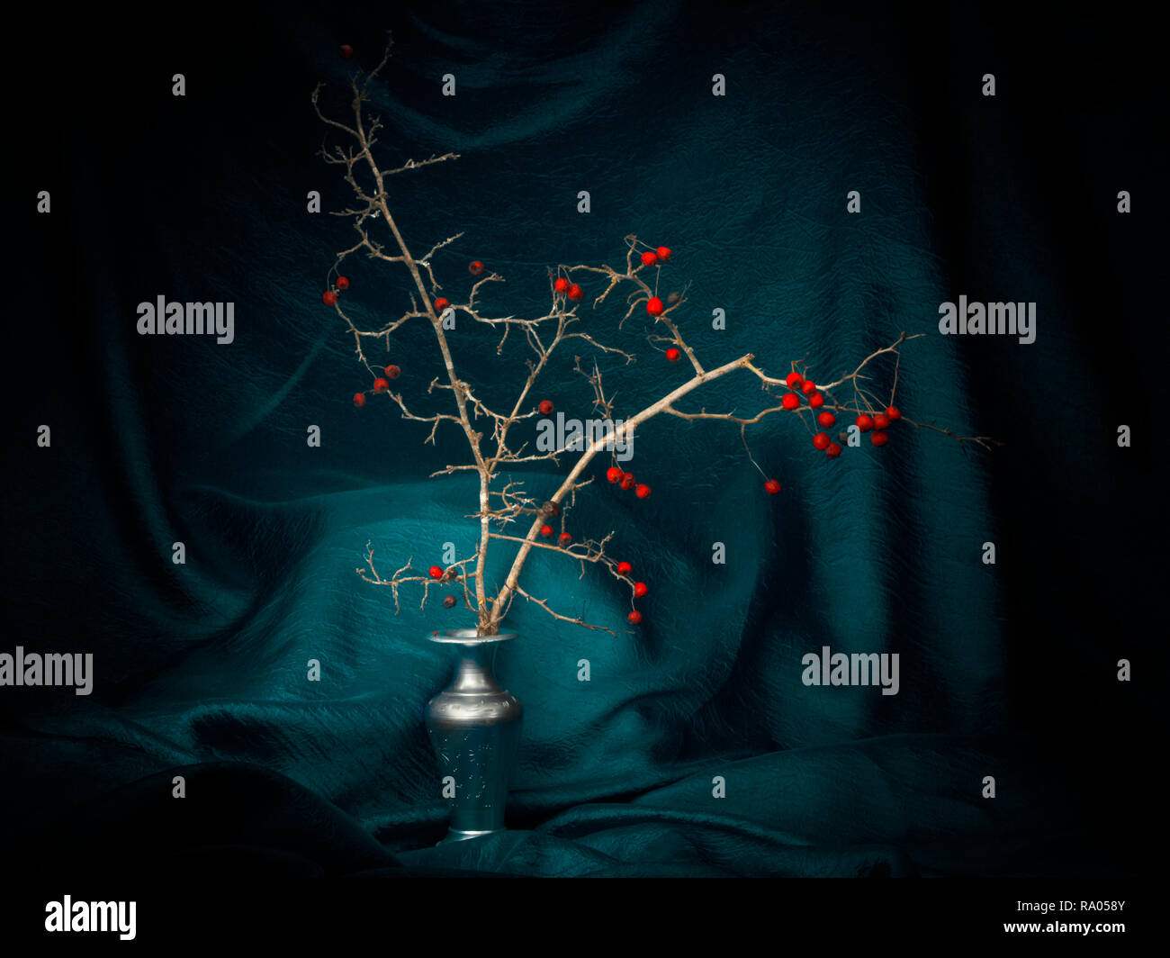 Inverno di bacche rosse in un vaso con tessuto color turchese, pittura di luce ancora in vita. Decorativa. Foto Stock