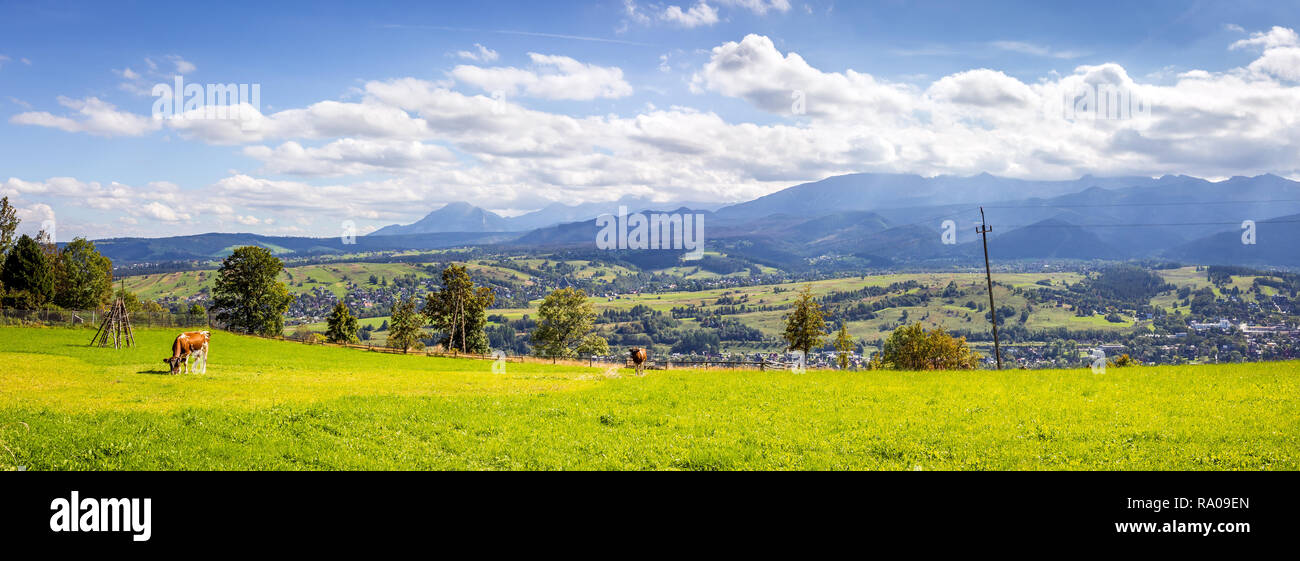 Estate panorama di montagne Tatry, frazioni di Zakopane città, Polonia meridionale Foto Stock