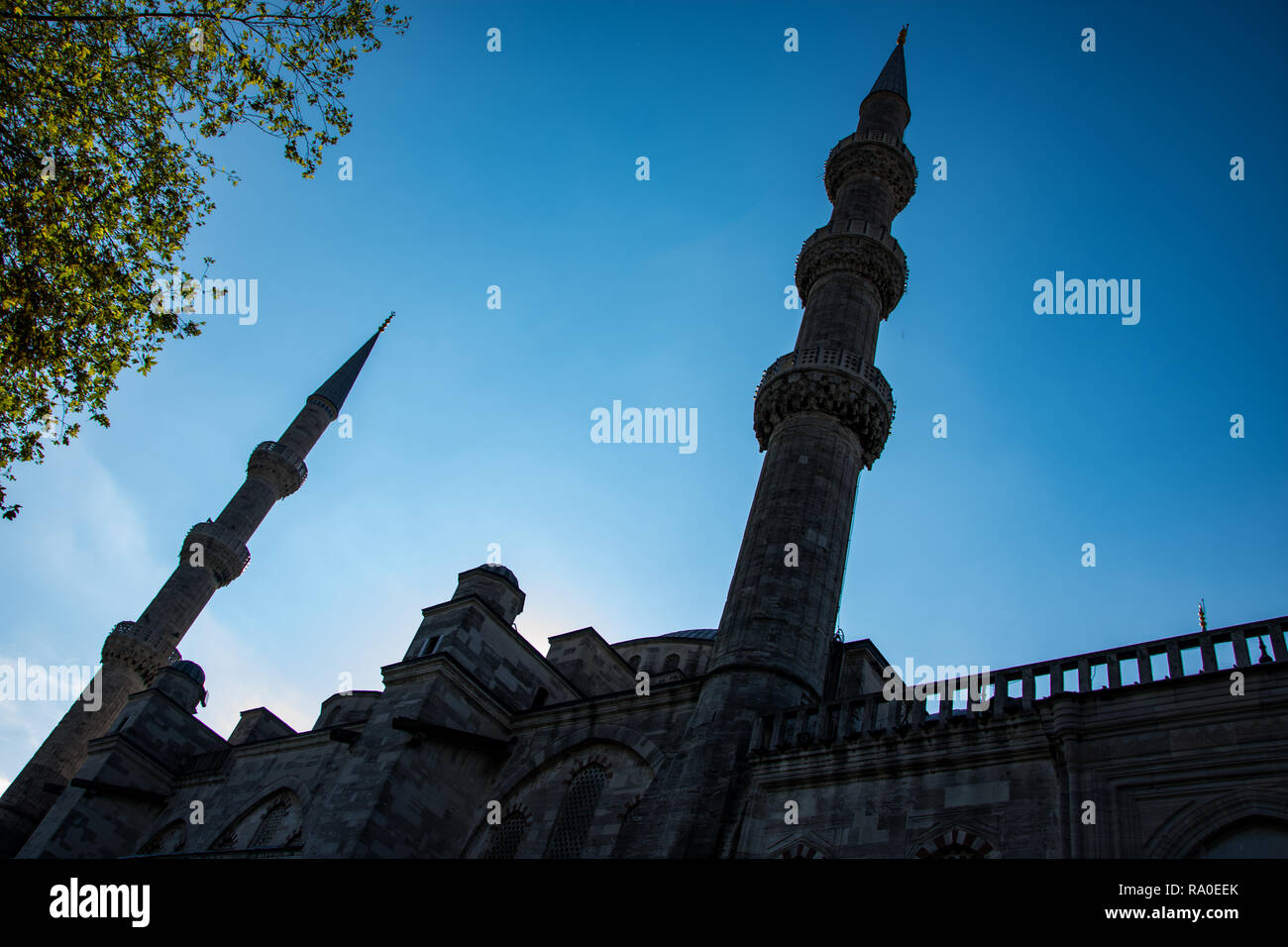 I minareti della Moschea Fatih di Istanbul Foto Stock