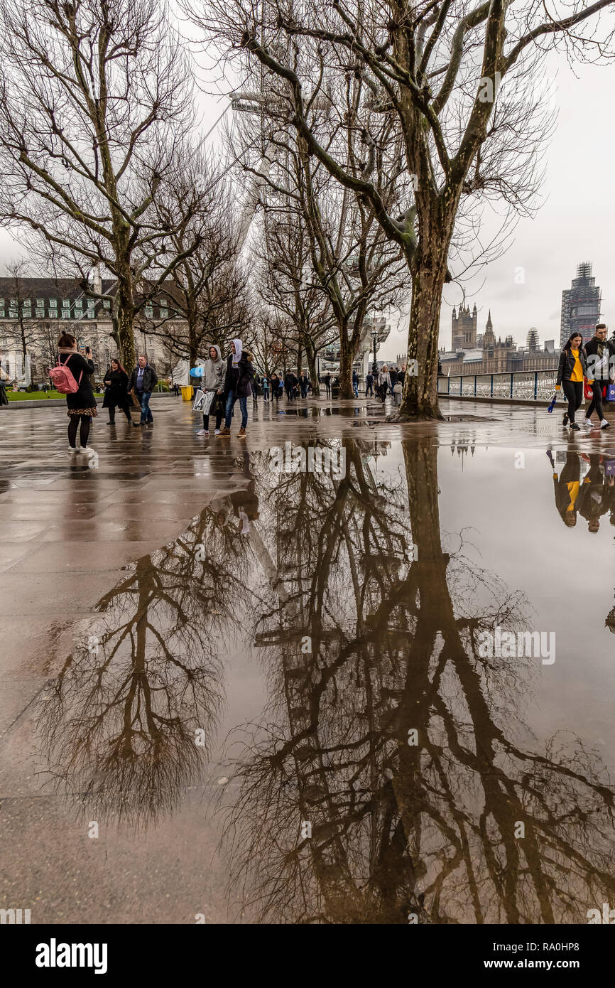 Il London Eye e gli alberi sulla riva sud del fiume Tamigi a Londra, Inghilterra, che si riflette nelle piscine di acqua di pioggia. Foto Stock