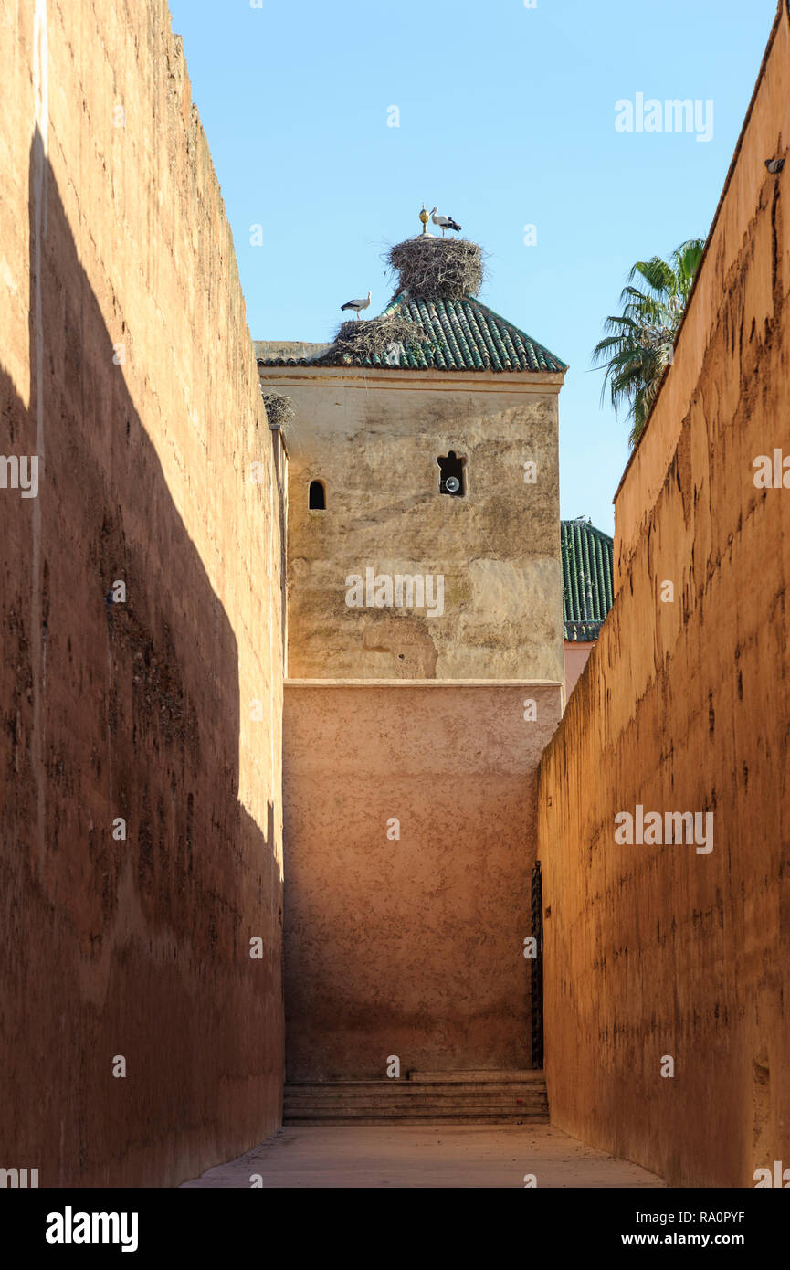 05-03-15, Marrakech, Marocco. I resti del XVI ° secolo El Badii Palace le cui pareti giardino ornamentali e frutteto arancione ancora in piedi.Foto: © Si Foto Stock