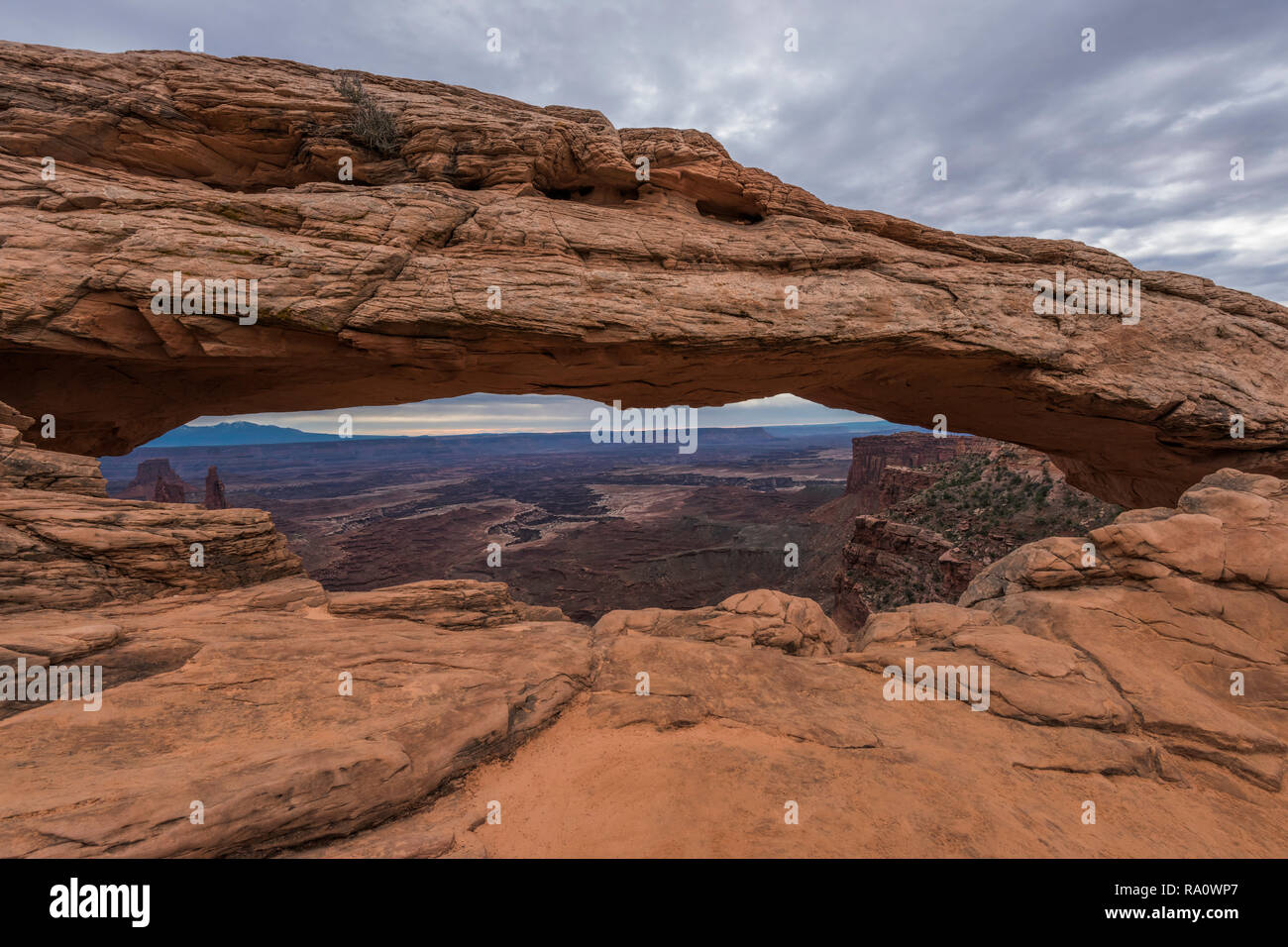 Mesa Arch Foto Stock
