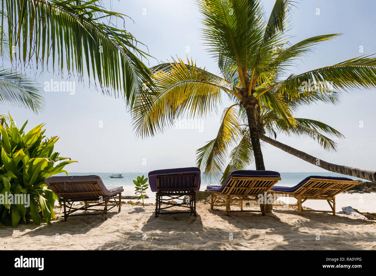 Una linea di sedie a sdraio di fronte Oceano Indiano con palme che danno ombra in mattina presto luce, Diani, Kenya Foto Stock