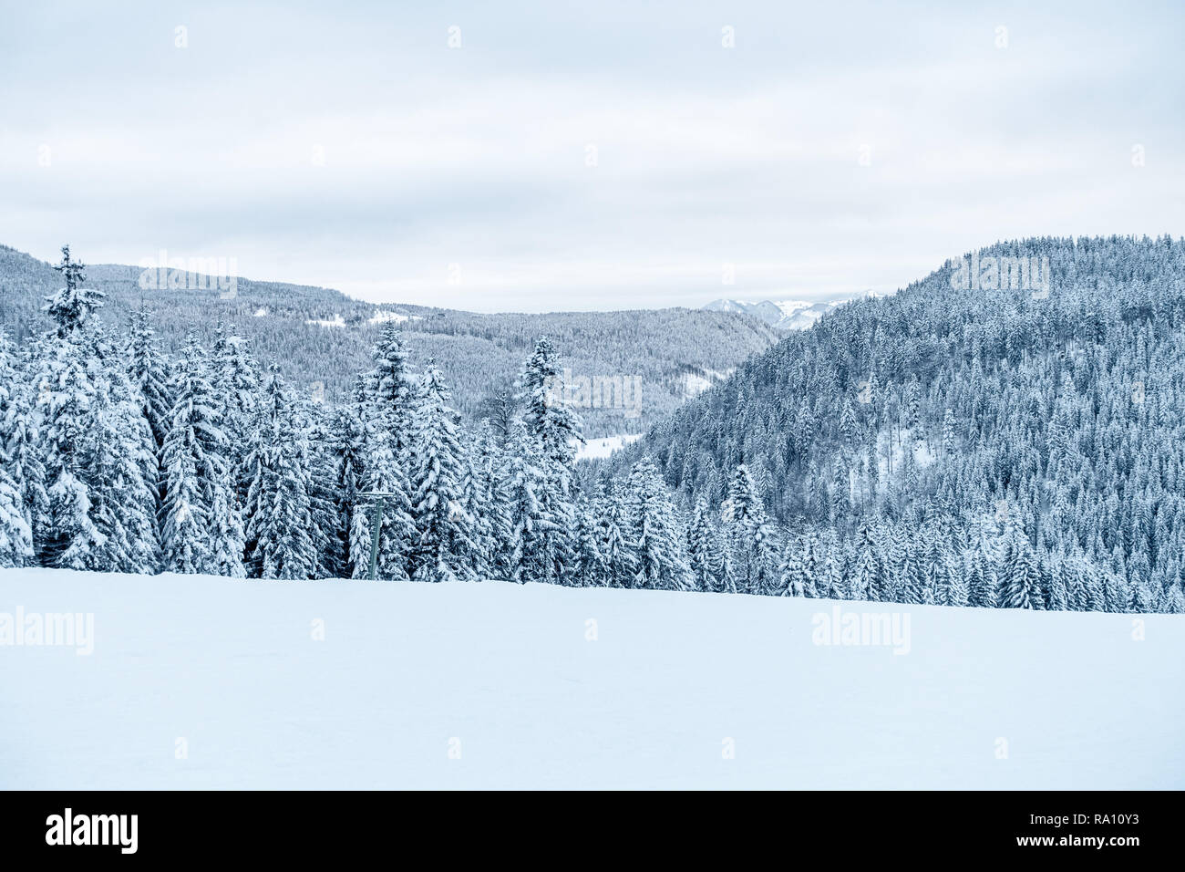 Paesaggio Innevato sulle piste da sci in Baviera in inverno. Foto Stock