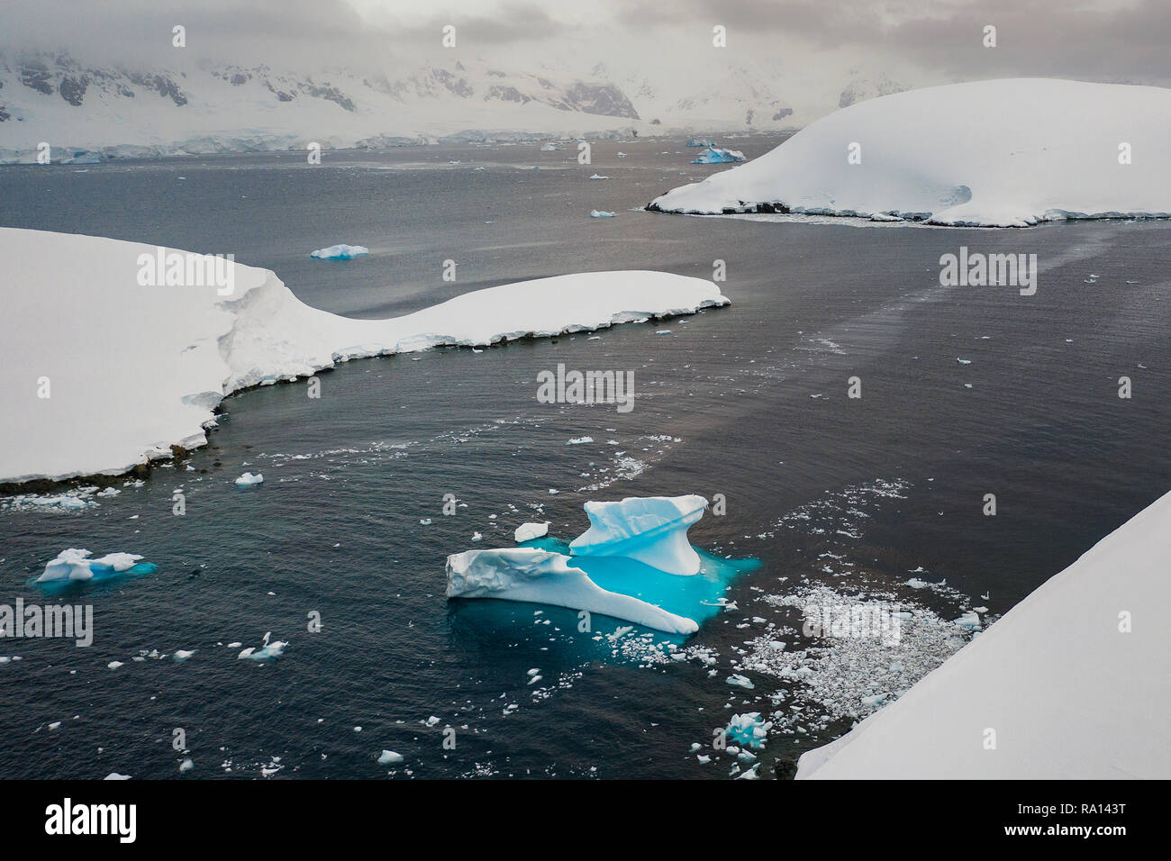 Iceberg a Enterprise Isola, Antartide Foto Stock