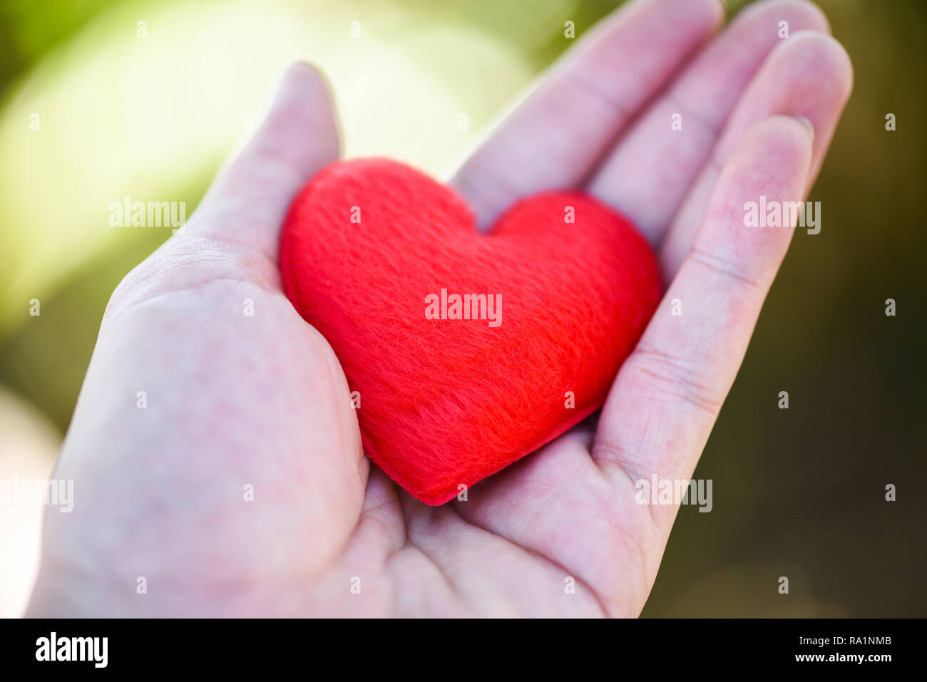 Dare amore uomo con piccolo cuore rosso in mani per amore il giorno di San Valentino / Donazione Aiutare a dare amore calore prendere il concetto di cura Foto Stock