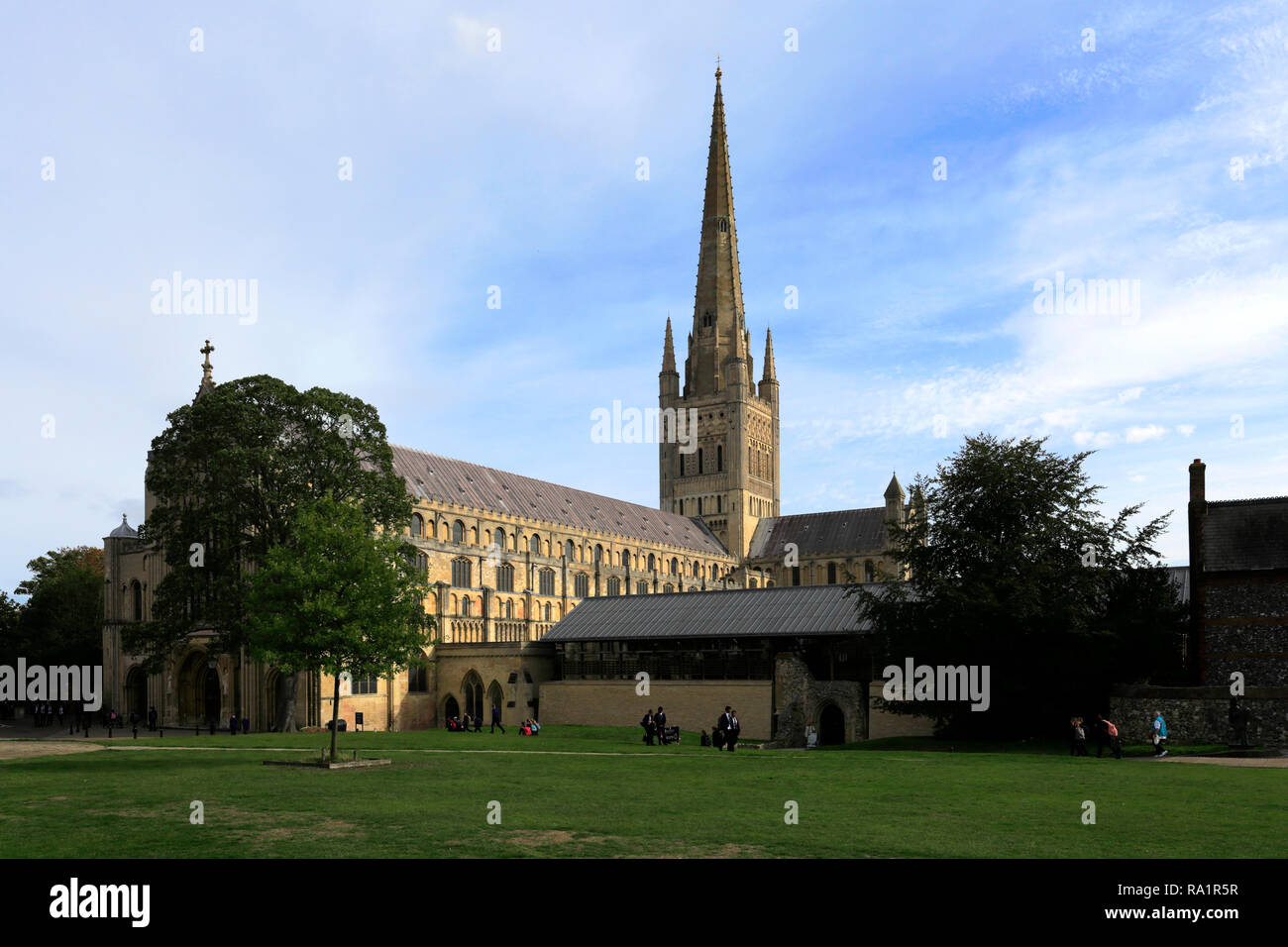 Vista estiva di Norwich Cathedral e Norwich City, contea di Norfolk, Inghilterra, Regno Unito Foto Stock