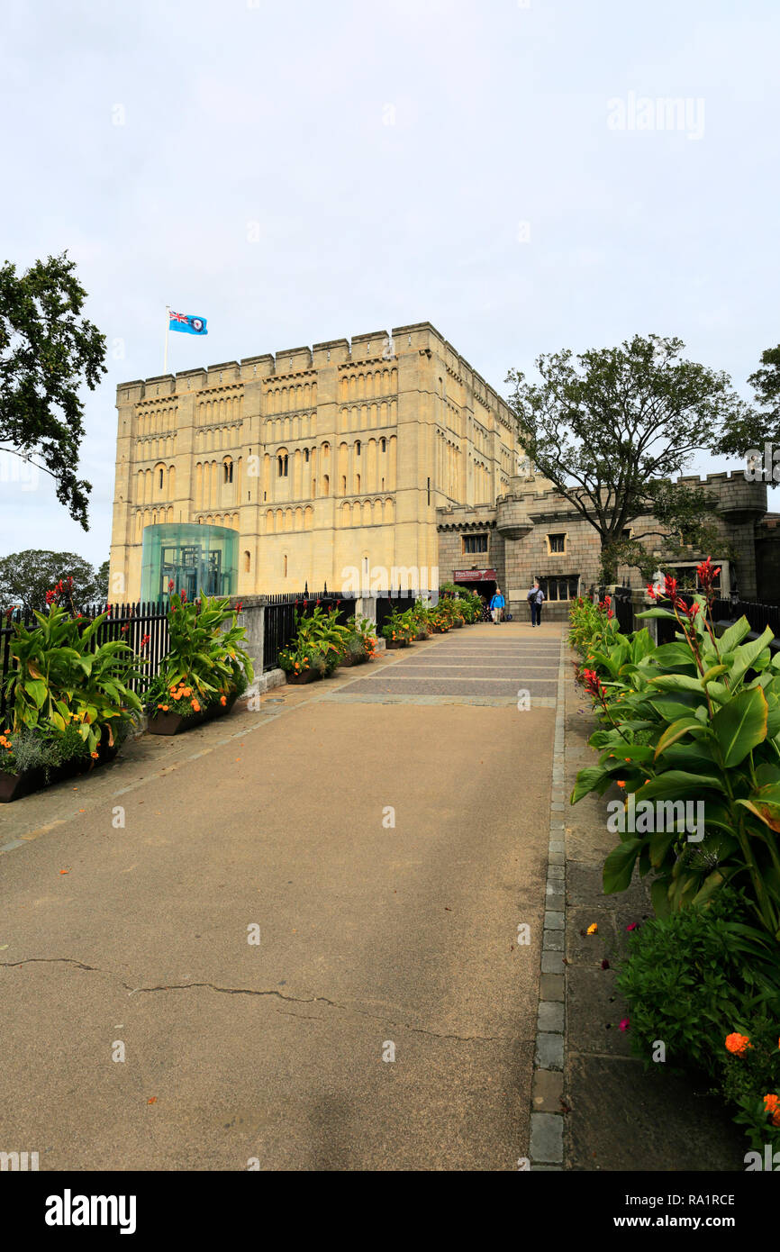 Vista di Norwich Castle che ora detiene la galleria d'Arte e Museo di Norwich City, contea di Norfolk, Inghilterra, Regno Unito Foto Stock