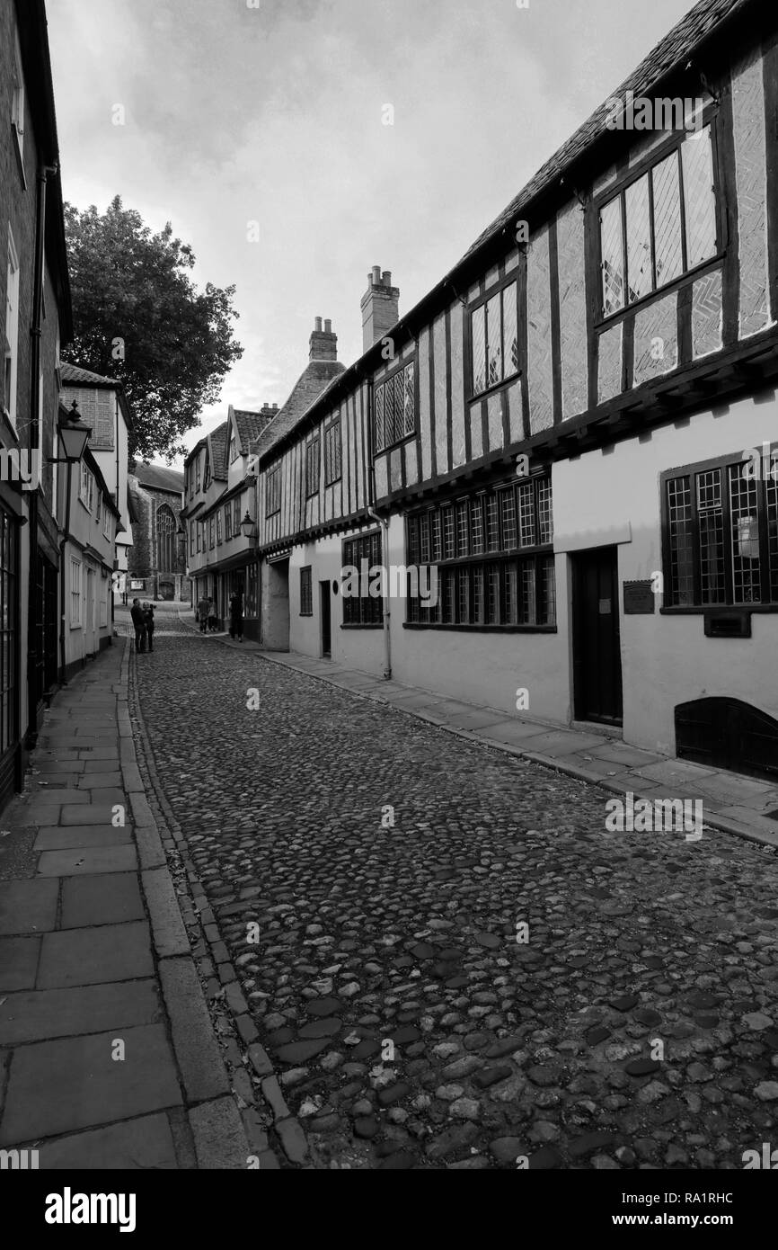 Architettura e negozi lungo la stretta strada di ciottoli di Elm Hill, le corsie, Norwich City, contea di Norfolk, Inghilterra, Regno Unito Foto Stock