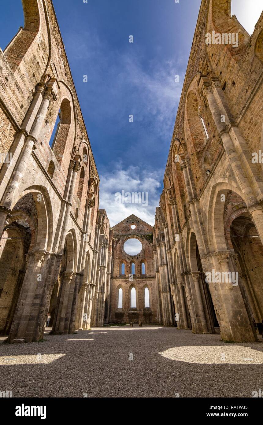 L imponente e suggestiva Abbazia di San Galgano si vede dall'interno Foto Stock