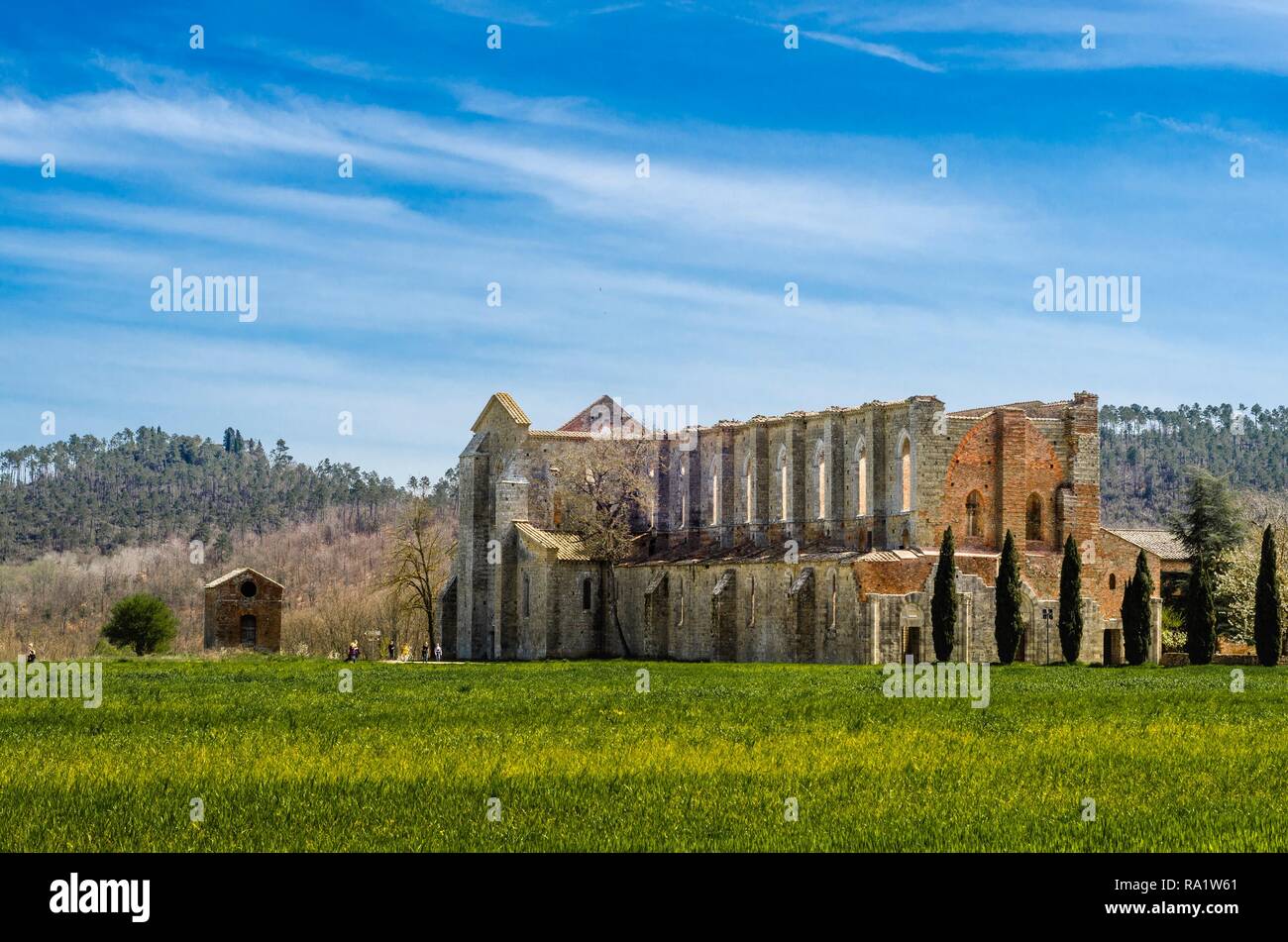 Abbazia di San Galgano si vede dall'esterno Foto Stock