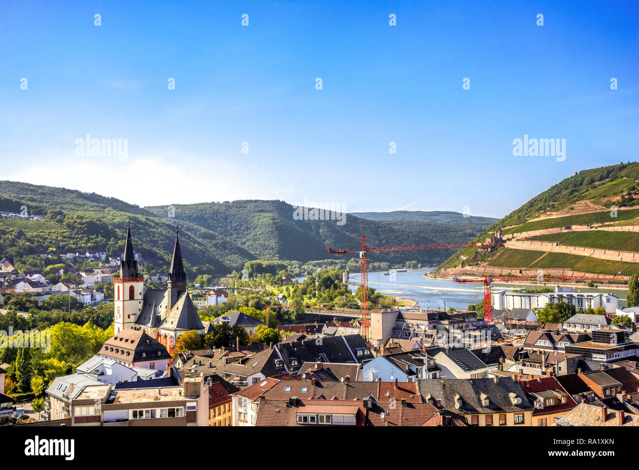 Vista su Bingen am Rhein, Rheingau, Germania Foto Stock