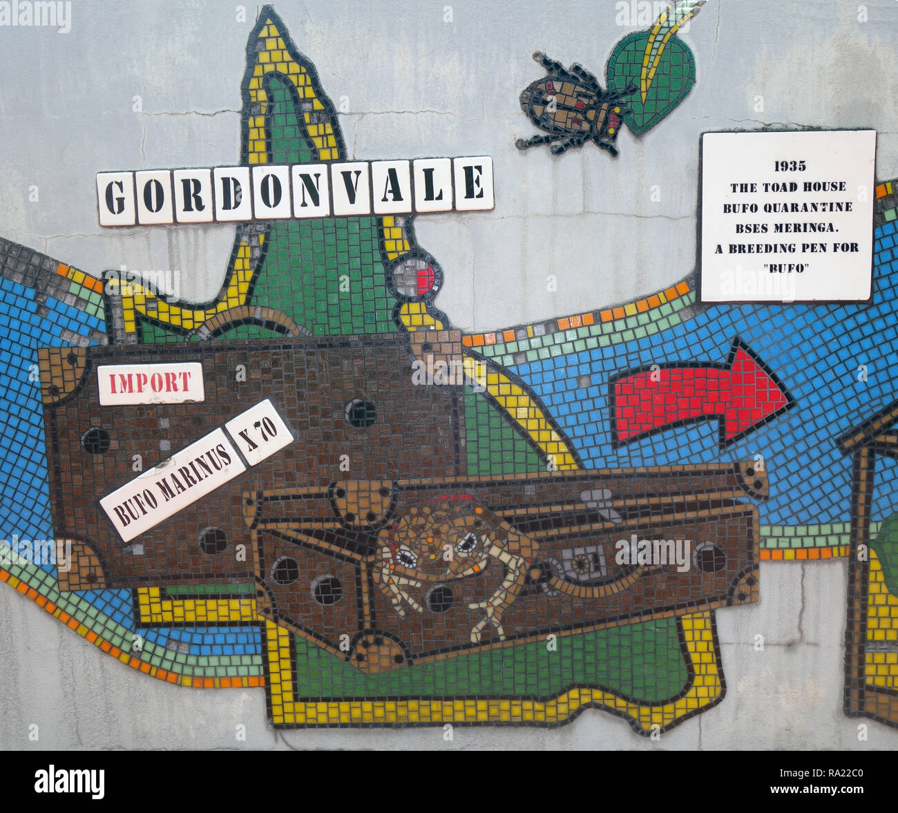 Dettaglio del rospo di canna a mosaico di canna mondo Toad, mostrando come essi sono stati introdotti per la prima volta in Australia, Gordonvale, vicino a Cairns, Queensland, Australia. Foto Stock