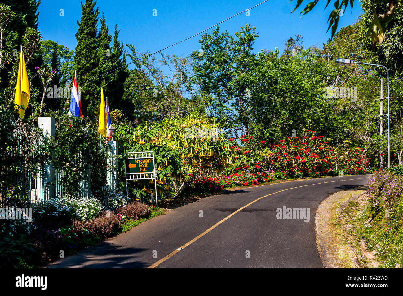 Strada fiancheggiata da fiori all'interno del Palazzo Bhubing sopra Chiang mai, Thailandia. Foto Stock
