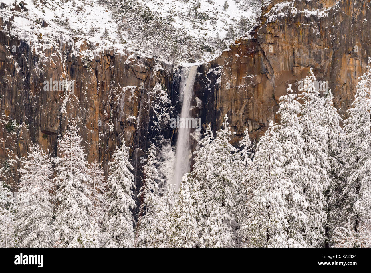 25 gen 2017 Yosemite Valley negli Stati Uniti: dopo la siccità Ultime nevicate massicce, Snow capped Cathedral Rocks e Bridalveil Falls forniscono una maestosa vista. Foto Stock
