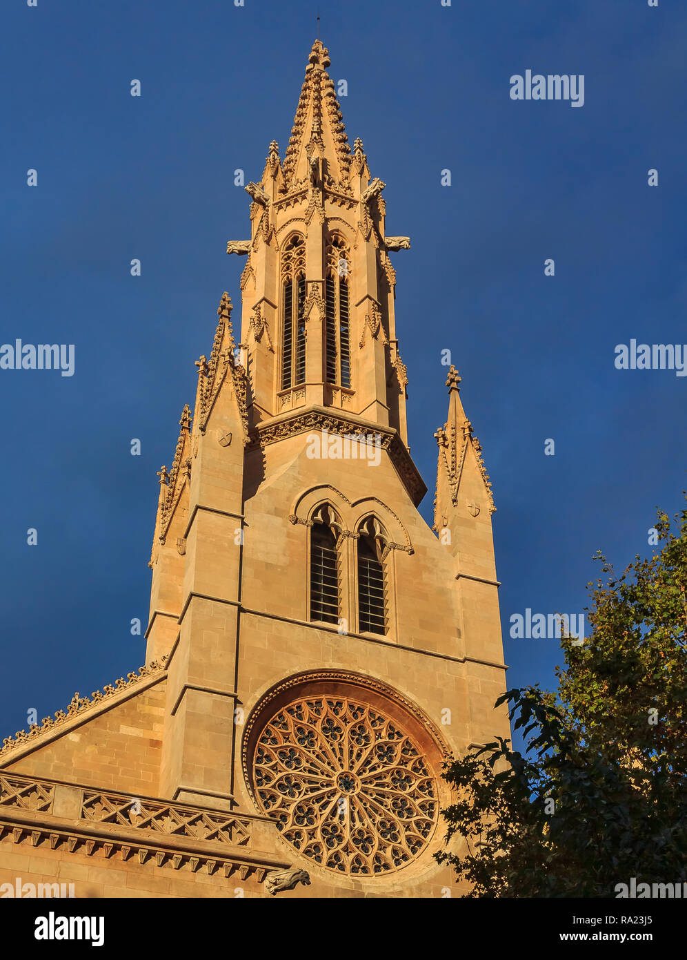 Ornato rosone gotico della chiesa Parroquia de Santa Eulalia, una delle quattro chiese più antiche in Palma de Mallorca a Maiorca isole Baleari Foto Stock