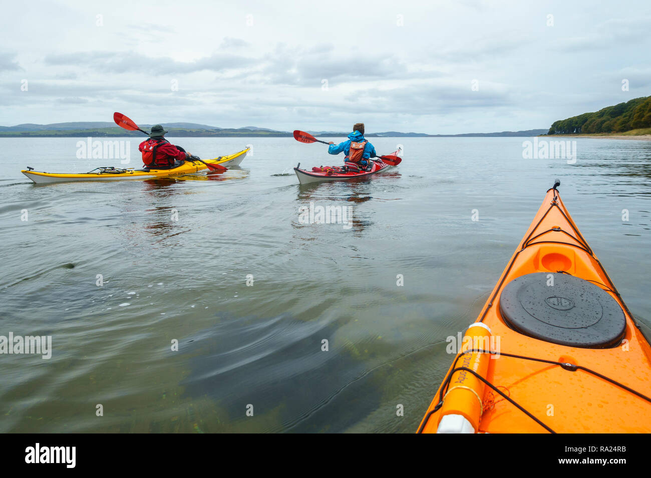 Kayak di mare intorno al Isle of Bute, Firth of Clyde, Argyll & Bute, Scozia Foto Stock