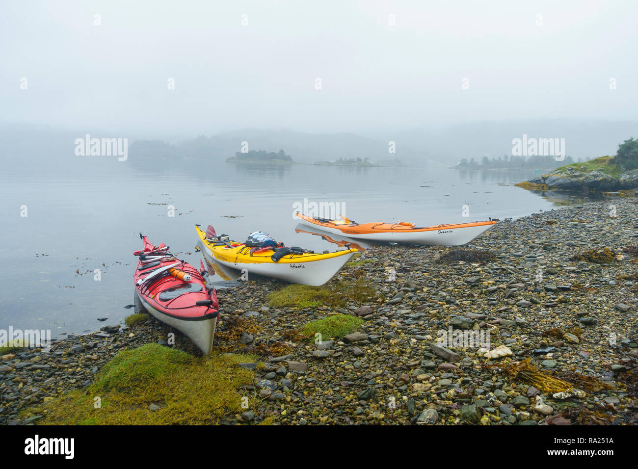 Kayak di mare intorno al Isle of Bute, Firth of Clyde, Argyll & Bute, Scozia Foto Stock
