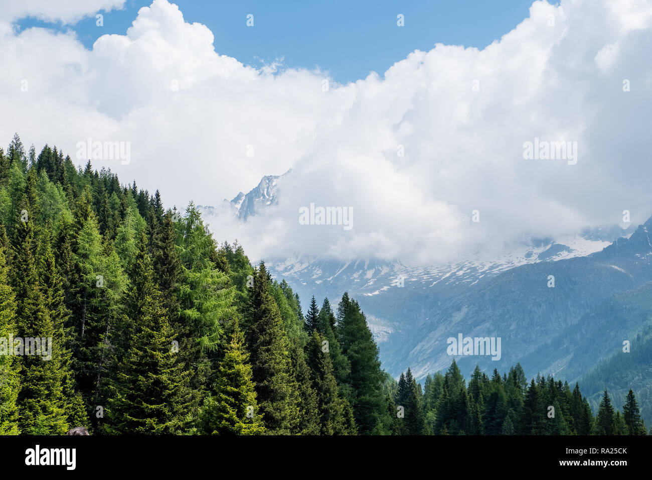 La foresta e la montagna coperta da nubi Foto Stock