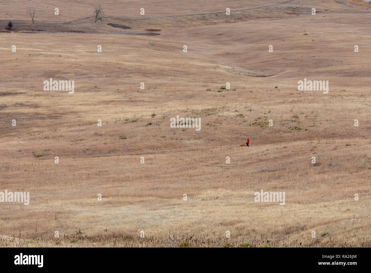 Denver, Colorado - Una persona cammina un cane di Rocky Flats National Wildlife Refuge,. Il rifugio era precedentemente noto come il sito di armi nucleari impianto che è stato Foto Stock