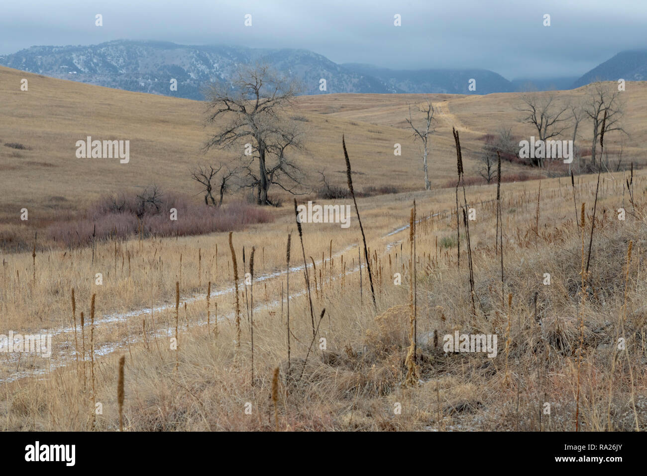 Denver, Colorado - Rocky Flats National Wildlife Refuge,. Il rifugio era precedentemente noto come il sito di armi nucleari impianto che è stato ampiamente inquinato wi Foto Stock