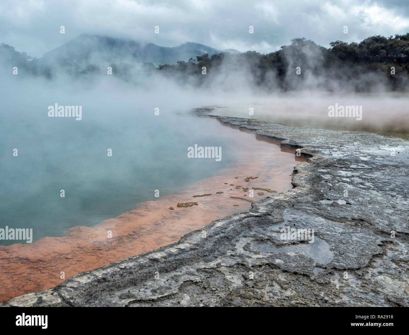 Waiotapu Thermal Wonderland Champagne Pool - Nuova Zelanda Foto Stock