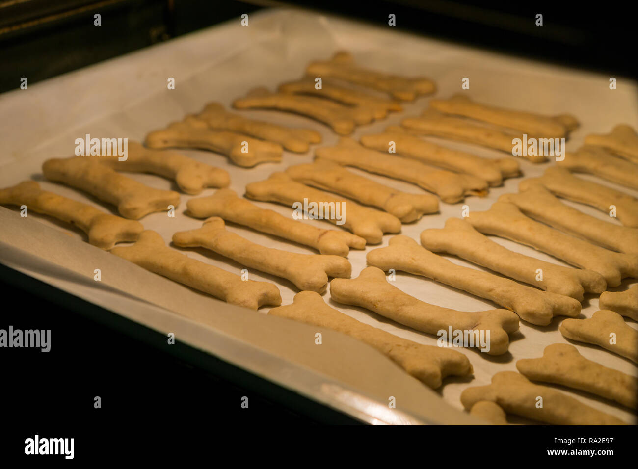 Biscotti di Natale per cani a forma di osso la cottura in forno Foto Stock