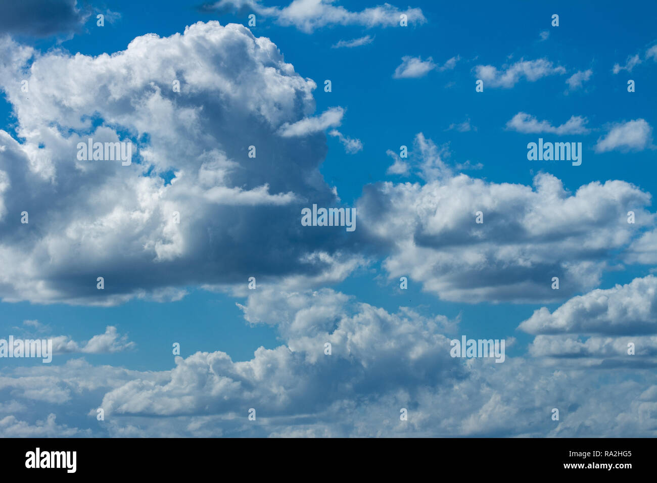 Numerosi white nuvole temporalesche. Cumulus nubi. Risorse per i progettisti. Foto Stock