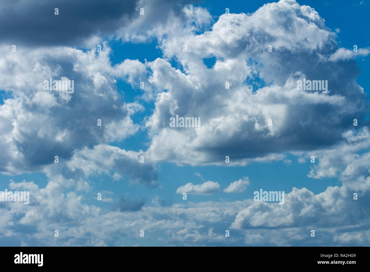 Numerosi white nuvole temporalesche. Cumulus nubi. Risorse per i progettisti. Foto Stock