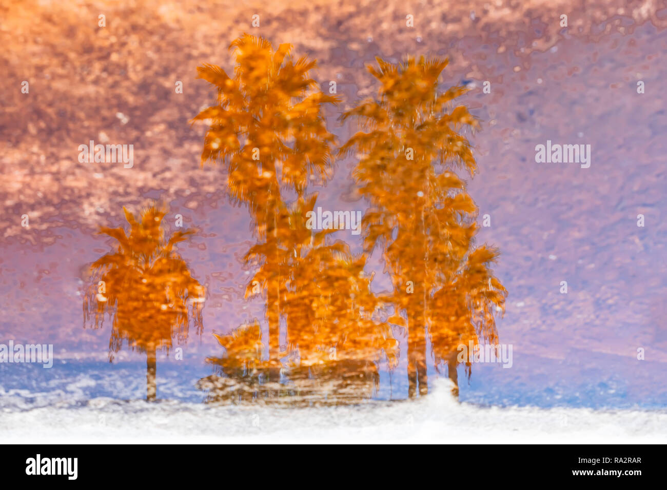 La riflessione di palme in acqua nella luce del tramonto. Carta da parati astratto Foto Stock