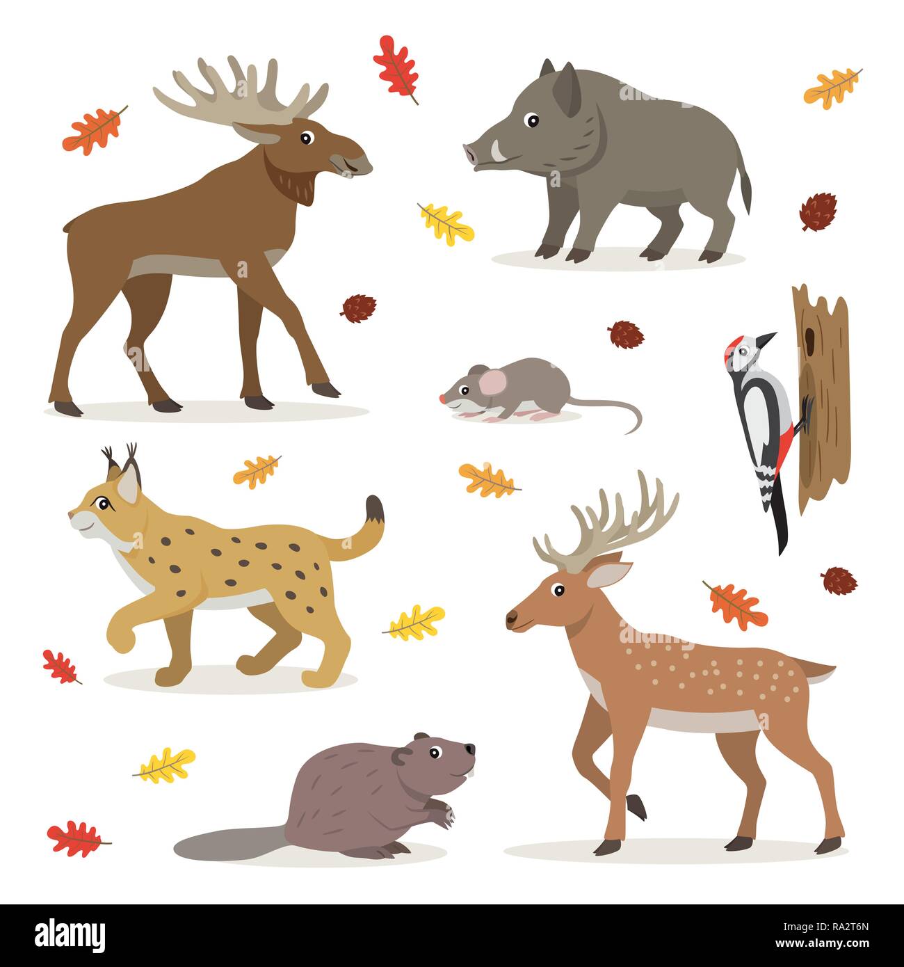 Set di bosco animali selvaggi isolati su sfondo bianco Illustrazione Vettoriale