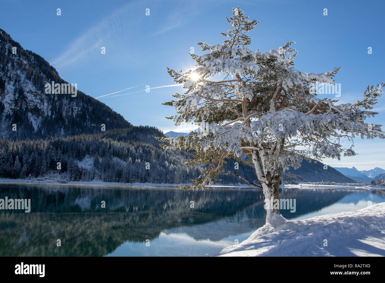 Il sorgere del sole che splende attraverso un albero sul lago di Davos, Switserland Foto Stock