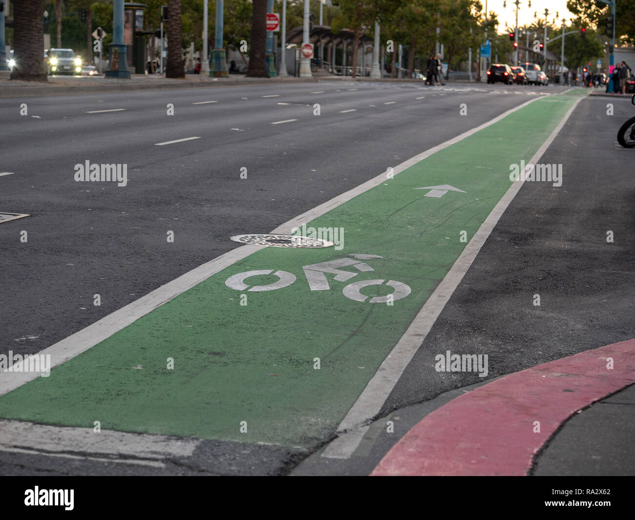 Il verde dedicato pista ciclabile lungo una strada di città in sera Foto Stock