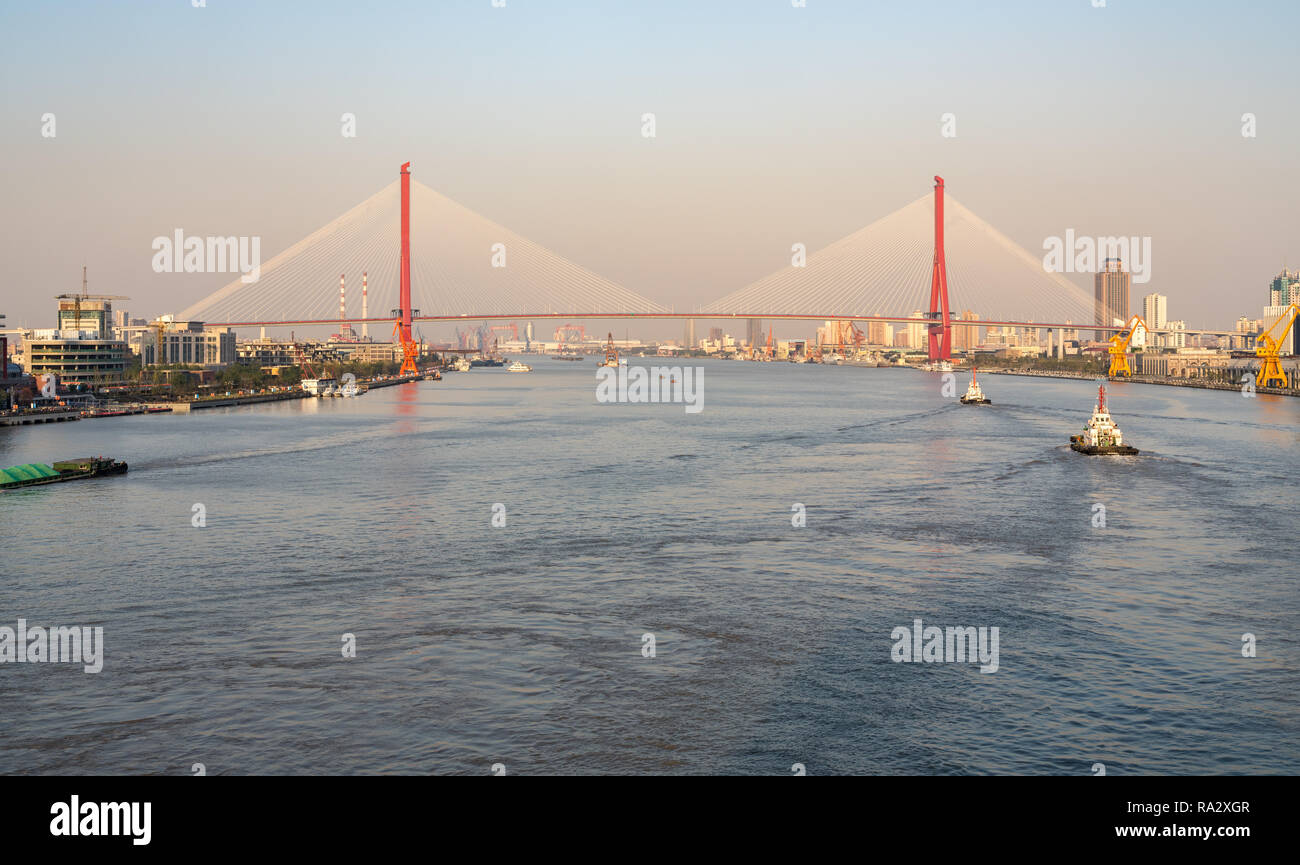 Yangpu sospensione ponte sul fiume Huangpu a Shanghai Foto Stock