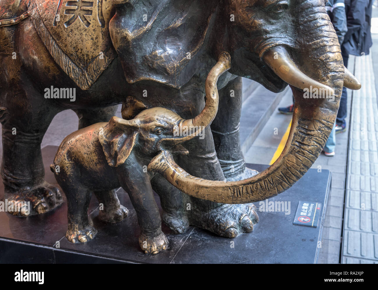 Elefante in bronzo e baby sfregato per buona fortuna Foto Stock