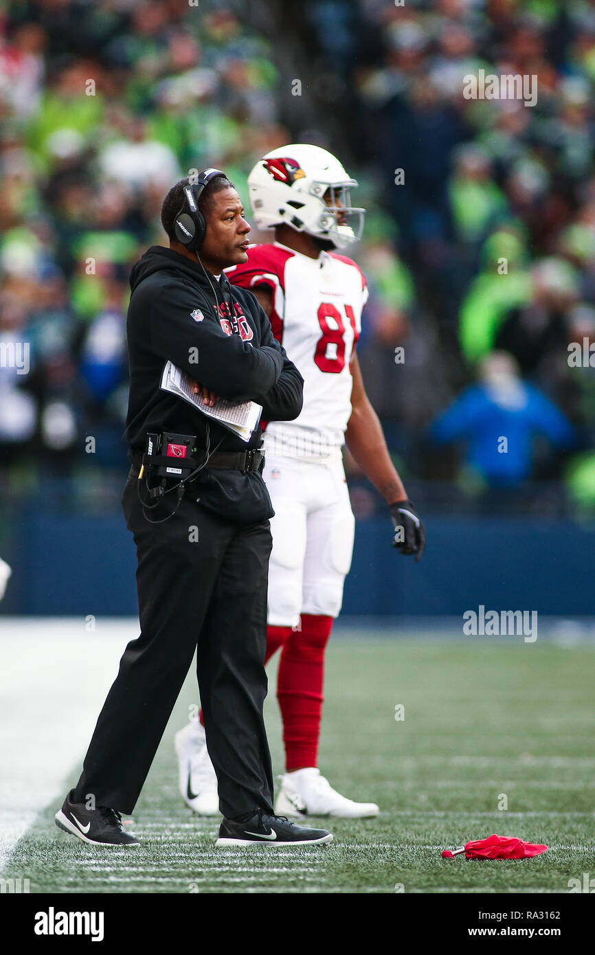 Seattle, WA, Stati Uniti d'America. 30 Dic, 2018. Arizona Cardinals capo allenatore Steve Wilks contesta la sentenza sul campo di un pass incompleta durante un gioco tra l'Arizona Cardinals e il Seattle Seahawks al campo CenturyLink a Seattle, WA. Il Seahawks sconfitto i Cardinali 27-24. Sean marrone/CSM/Alamy Live News Foto Stock